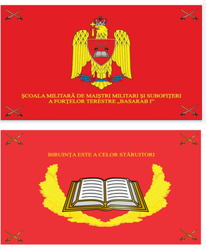 Steag de identificare